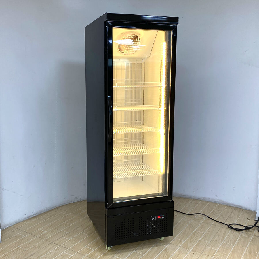 冷凍ML25 ADL70 冷凍食品用の単ドアスリムディスプレイフリーザー